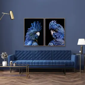 Black Cockatoo On Black - Two Piece Black Cockatoo Stretched Canvas Framed Wall Art