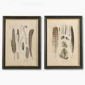 Brockby Set Of Two Framed Feather Wall Art 57cm